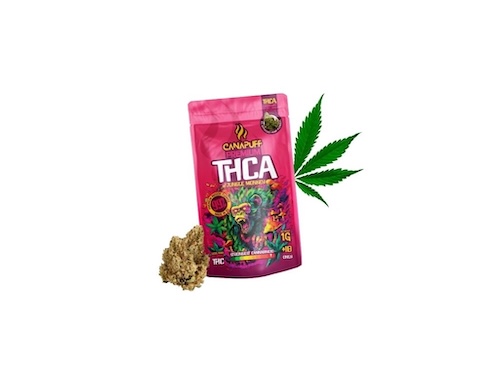 Canapuff THCA květy Jungle Monkey 99% 3g
