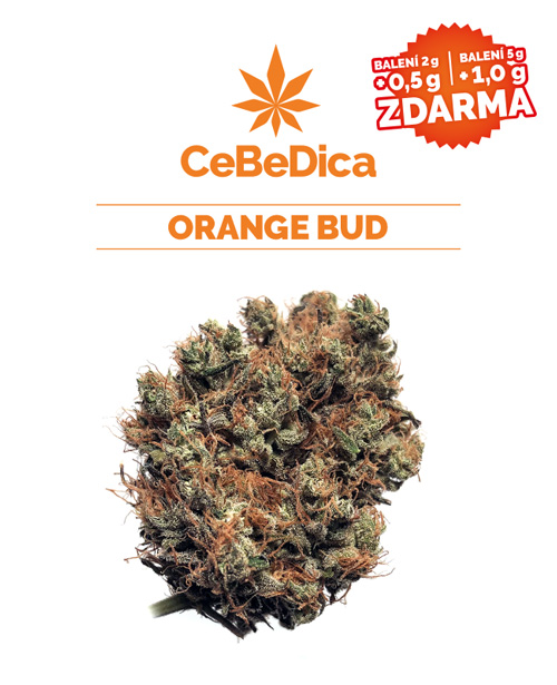 CBD květy Orange Bud 5g CeBeDica