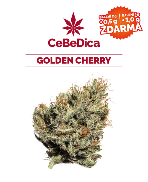 CBD květy Golden Cherry 5g CeBeDica