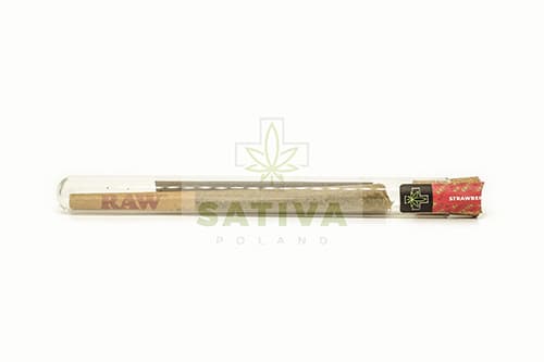 CBD konopí Strawberry Haze 1ks + Black Buddha 1ks Pre-Rolls Joint SATIVA POLAND