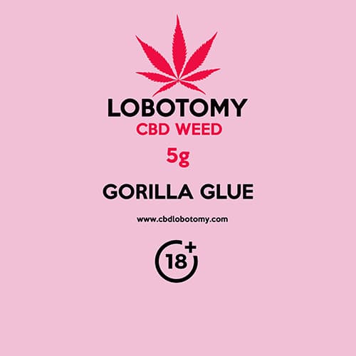 CBD květy konopní weed GORILLA GLUE 5g LOBOTOMY