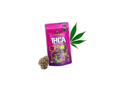 Canapuff THCA květy Panic Monkey 99% 1g