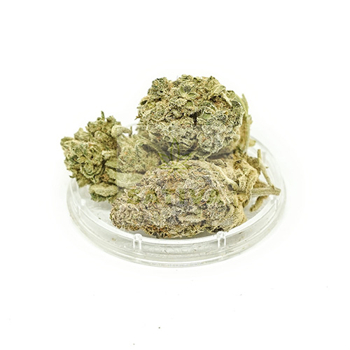 CBD konopné květy SILVER BUD 1g SATIVA POLAND